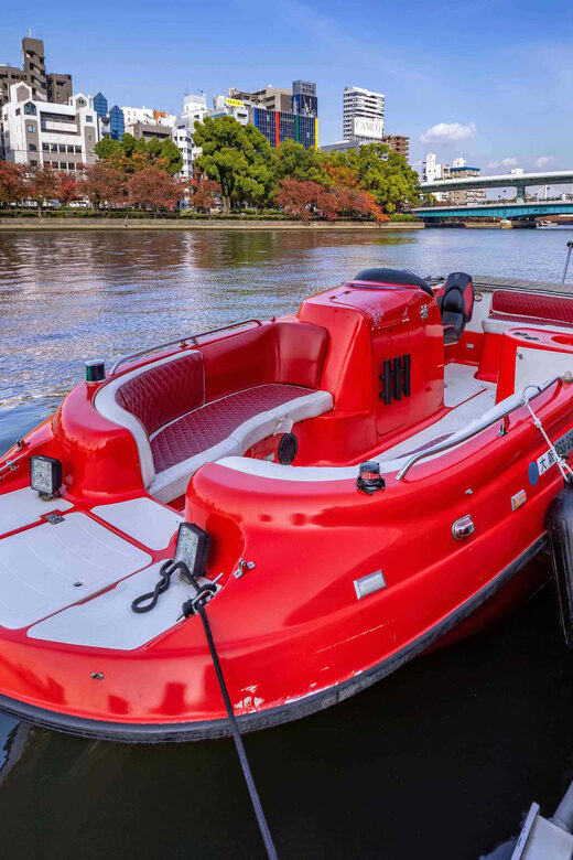 Osaka: Dotonbori's Bridges 20-Minute Cruise - Who this Dotonbori bridges cruise suits best
