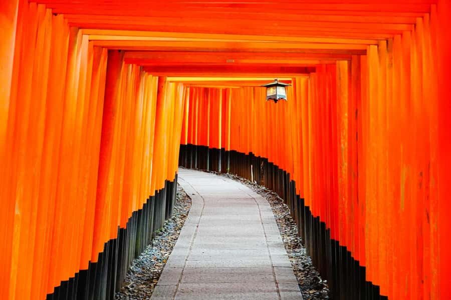 Osaka/Kyoto: Arashiyama, Nara & Fushimi Inari Shrine w/Lunch - What You’re Really Doing: A Fast Hit of Kyoto and Nara