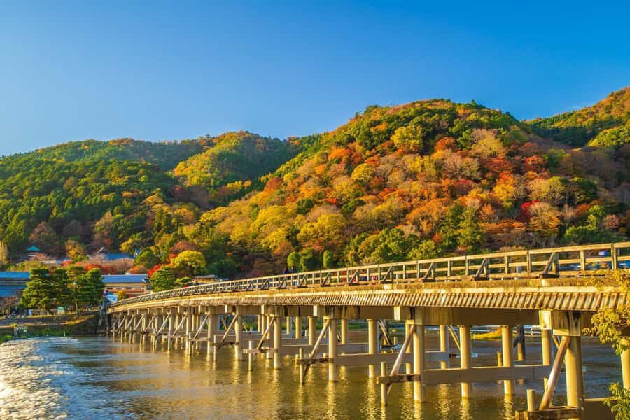 Osaka/Kyoto: Arashiyama, Nara & Fushimi Inari Shrine w/Lunch - Nara Park and Todai-ji: Deer Encounters and Temple Scale