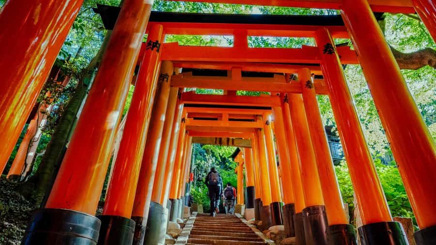 Osaka/Kyoto:Kinkakuji,Arashiyama,FushimiInariShrine,NaraPark - Quick take: what you’ll remember most