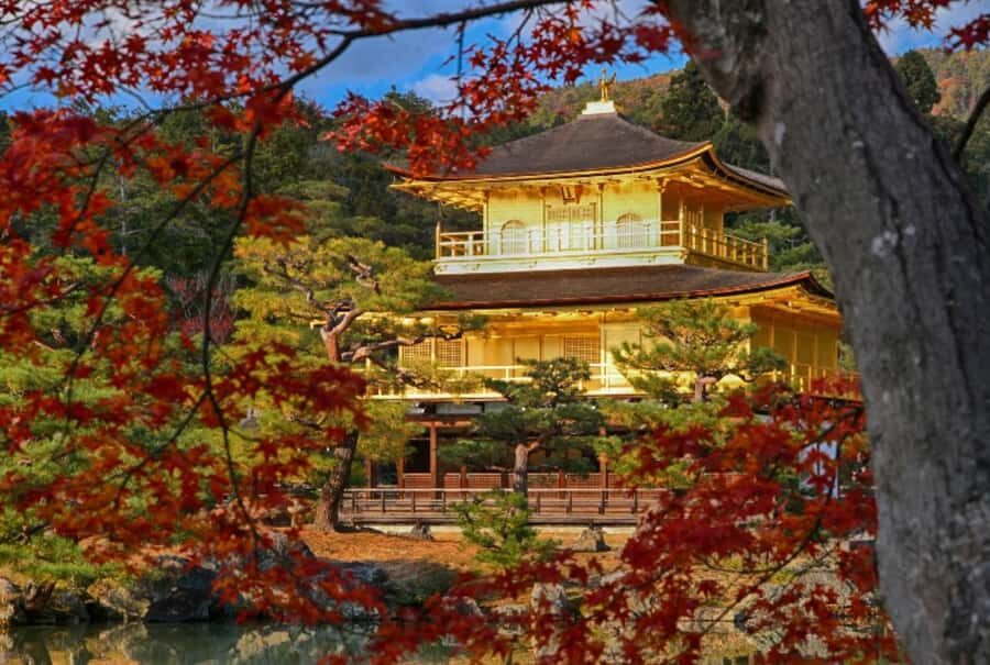 Osaka/Kyoto:Kinkakuji,Arashiyama,FushimiInariShrine,NaraPark - Price and logistics: why $66 can work