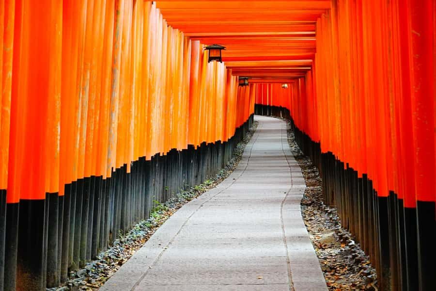 Osaka/Kyoto:Kinkakuji,Arashiyama,FushimiInariShrine,NaraPark - Nara Park deer encounter: fun, but follow the rules