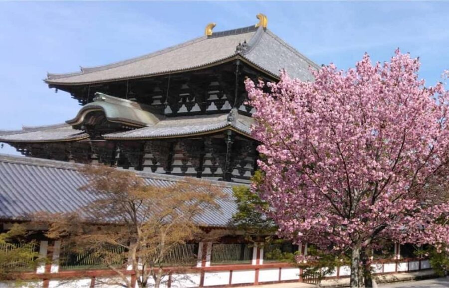 Osaka: Nara and Uji Day Trip with Deer Park and Hot Spring - A 10-Hour Nara and Uji Plan That Fits an Osaka Stay