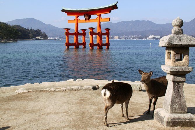 Peaceful Hiroshima & Miyajima UNESCO 1 Day Bus Tour - Key Things I’d Plan Around