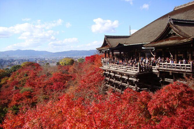 PERFECT KYOTO 1-Day Bus Tour - Key Highlights You’ll Actually Feel
