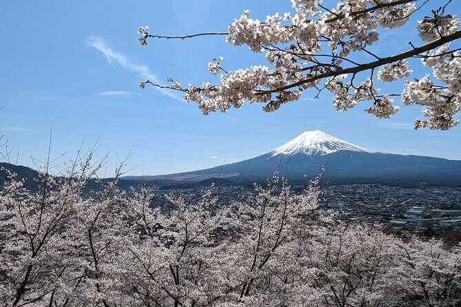 Private Car Tour to Mt. Fuji Lake Kawaguchiko or Hakone - Key things that make this tour work