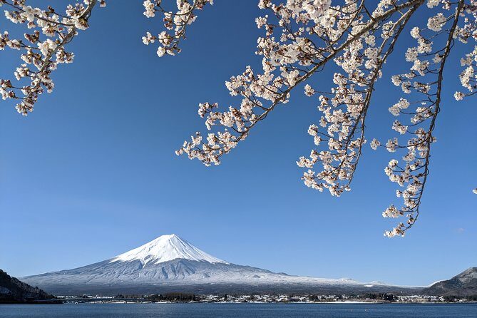 Private Car Tour to Mt. Fuji Lake Kawaguchiko or Hakone - What a private Tokyo car day really buys you
