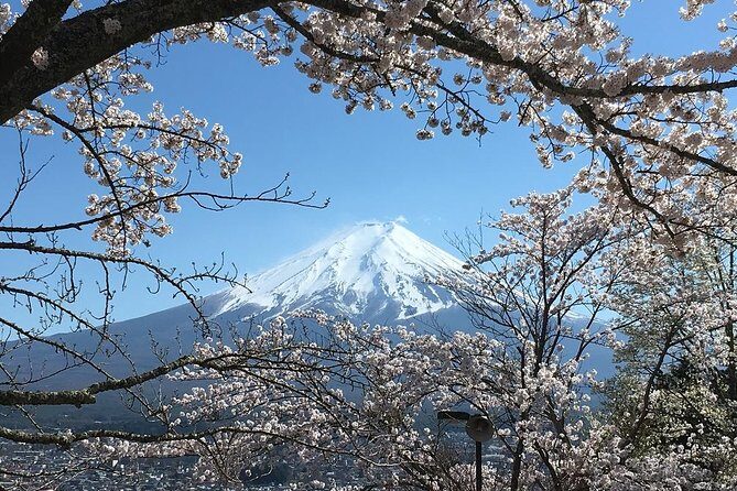 Private Car Tour to Mt. Fuji Lake Kawaguchiko or Hakone - 5th Station reality check: the toll, the time cost, and seasonal closures