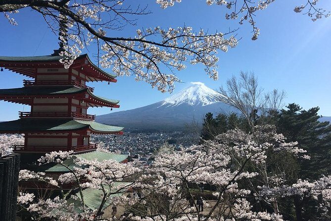 Private Car Tour to Mt. Fuji Lake Kawaguchiko or Hakone - Yamanashi season tricks: flowers, fruit, sake, and even snow/ski