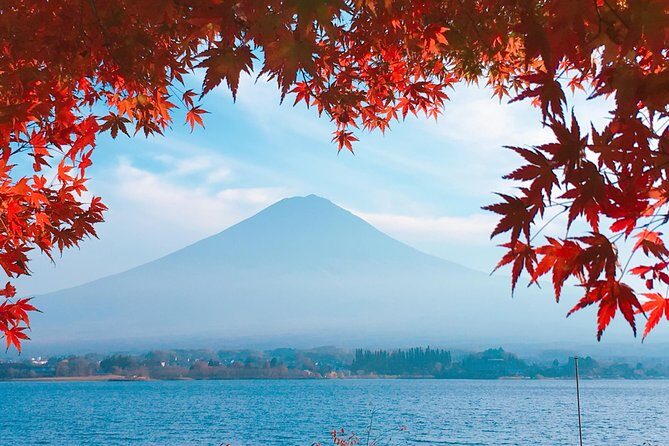 Private Car Tour to Mt. Fuji Lake Kawaguchiko or Hakone - If you choose Hakone instead: ropeway, Owakudani, torii, and Lake Ashi cruising