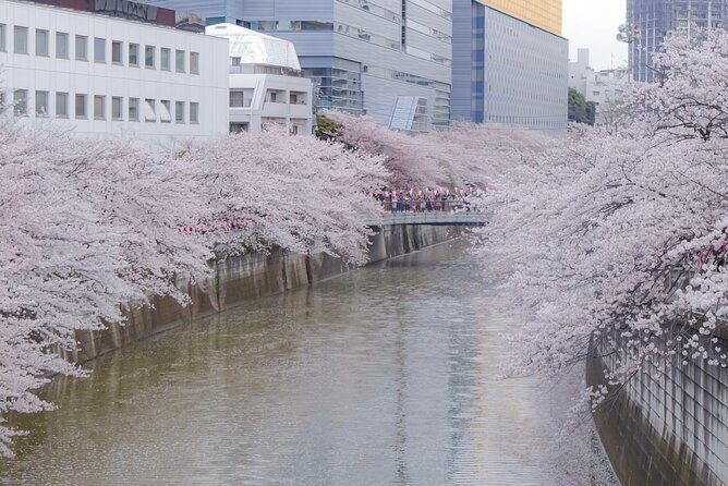 Private Custom Tour: Tokyo in a Day - Train/Subway vs Private Transport: Choose Based on Energy