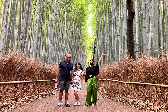 Private Kyoto Tour with Licensed Guide & Vehicle (Max 15 persons) - Kiyomizu-dera: the famous temple plus the crowds you should plan for