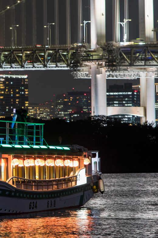 Sumida River: Japanese Traditional Yakatabune Dinner Cruise - Photo Stops That Actually Deliver: Roof Time, Bay Lights, and Skytree