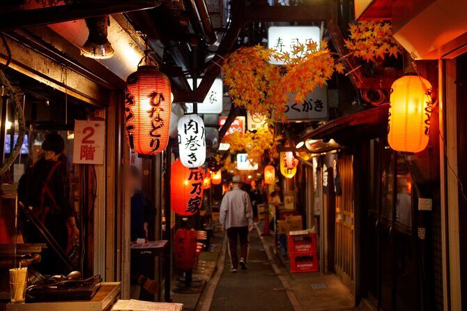The Dark Side of Tokyo - Night Walking Tour Shinjuku Kabukicho - Your Night Route: Shinjuku to Kabukicho to Omoide Yokocho
