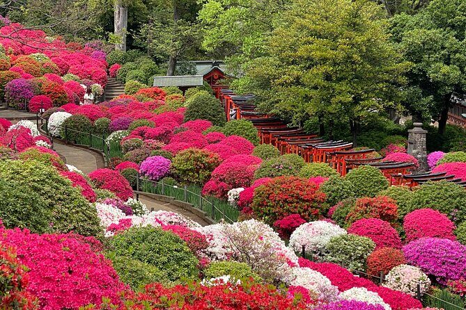 The Old Quarter of Tokyo - Yanaka Walking Tour - Nezu Shrine: red torii gates, photos, and shrine etiquette