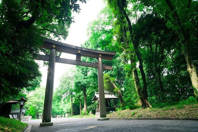 Tokyo 6hr Private Tour with Government-Licensed Guide - Who this tour suits best (and who may want DIY)