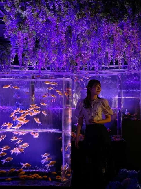 Tokyo: Art Aquarium Museum GINZA Entry Ticket - The 1-Hour Flow: How the Visit Usually Feels