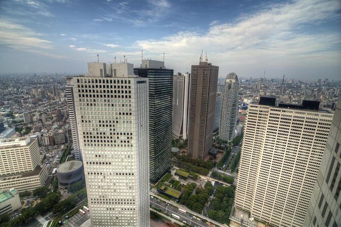 Tokyo Bar Hopping Tour in Shinjuku (All-You-Can-Drink + Dinner) - Key Things I’d Watch For Before You Go