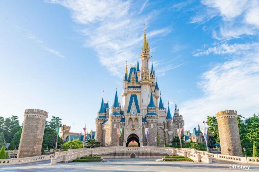 Tokyo Disneyland 1-Day Passport - Getting in fast: QR-code entry and why your phone matters