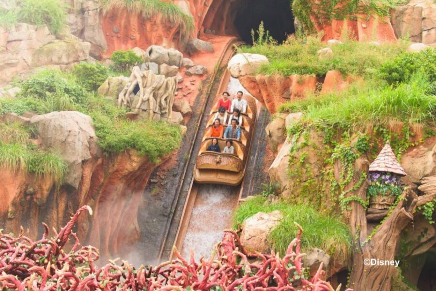 Tokyo Disneyland 1-Day Passport - Crowds, weather, and timing: your best strategy for a smooth day