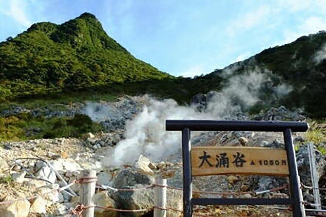 Tokyo: Hakone Fuji Day Tour w/ Cruise, Cable Car, Volcano - Owakudani Great Boiling Valley: volcano steam and Kuro Tamago