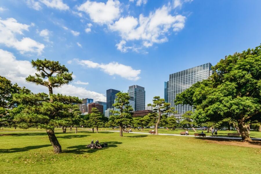 Tokyo: Hop-On Hop-Off Sightseeing Bus Ticket - Route 3: Shinjuku/Shibuya with Nishi-Shinjuku angles and a Meiji Jingu approach