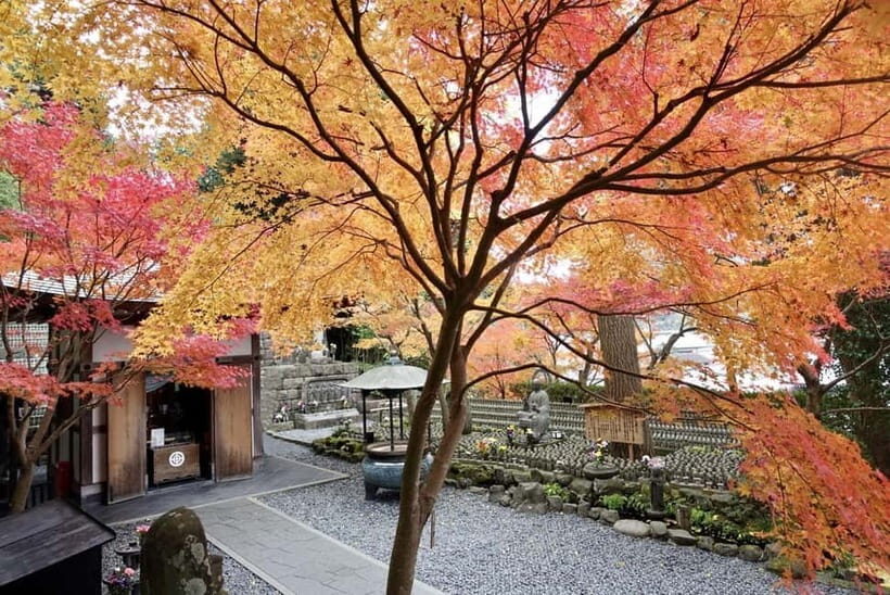 Tokyo: Kamakura & Enoshima Day Trip including Temple Tickets - Hasedera: Gardens, Statues, and Big Views Over Sagami Bay