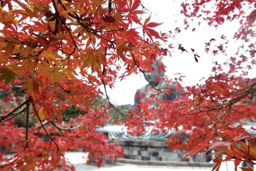 Tokyo: Kamakura & Enoshima Day Trip including Temple Tickets - Sea Candle, Enoshima Shrine, and Iwaya Caves: What to Prioritize