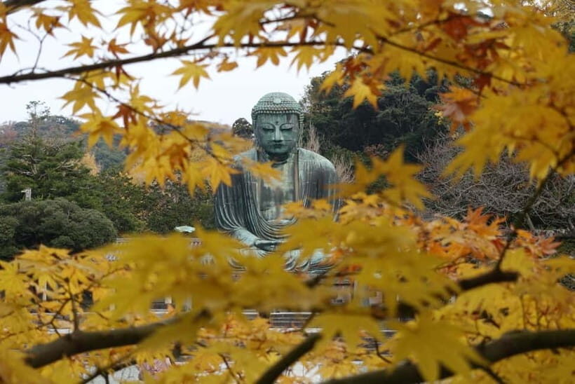 Tokyo: Kamakura & Enoshima Day Trip including Temple Tickets - Benzaiten Shopping Street: Where the Coast Turns into One More Round of Snacks