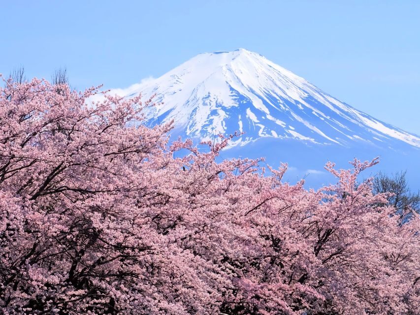 Tokyo: Mt. Fuji 5th Station & Hakone Cruise 1-Day Bus Tour - If 5th Station Is Closed: How the Day Gets Rebuilt