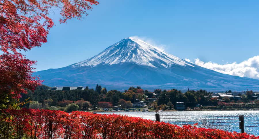 Tokyo: Mt. Fuji 5th Station, Kawaguchiko Tour w/ Cable Car - Who This Day Trip Suits Best