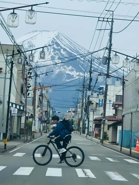 Tokyo: Mt. Fuji & Hakone Private Custom Tour English Driver - Key things to know before you go