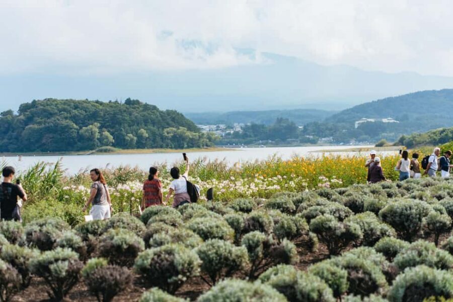 Tokyo: Mt. Fuji, Kamakura, Big Buddha, & Lake Ashi Day Trip - What the day feels like: pacing, guides, and photo strategy