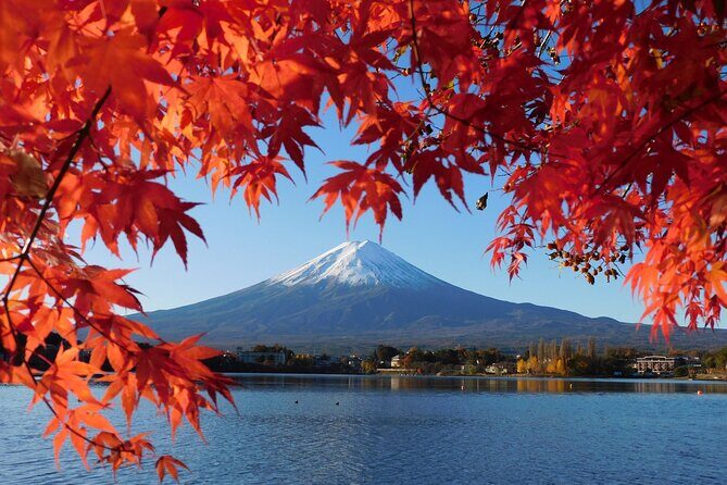 Tokyo: Mt.Fuji & Lake Kawaguchiko 1-Day Bus Tour w/Optional Lunch - Why this Mt. Fuji day trip is built for busy Tokyo schedules