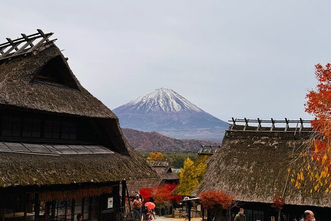 Tokyo: Mt.Fuji & Lake Kawaguchiko 1-Day Bus Tour w/Optional Lunch - A steep add-on: the Niikurayama Asama Park observation deck