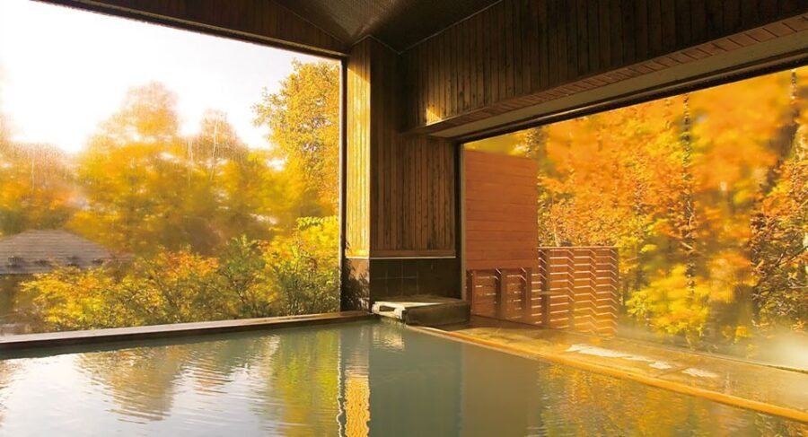 Tokyo: Nikko Toshogu Shrine and Kegon Waterfall Tour - Lake Chūzenji: Cold Views, Quick Shopping, and a Walk That Helps