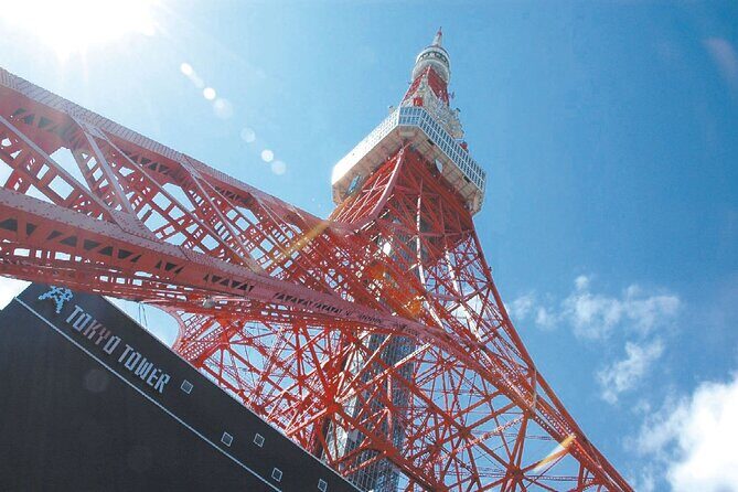 Tokyo Panoramic 1 Day: Meiji Shrine, Asakusa, Odaiba and SKYTREE® - Meiji Jingu Shrine: quiet, forested Tokyo for 1 full hour