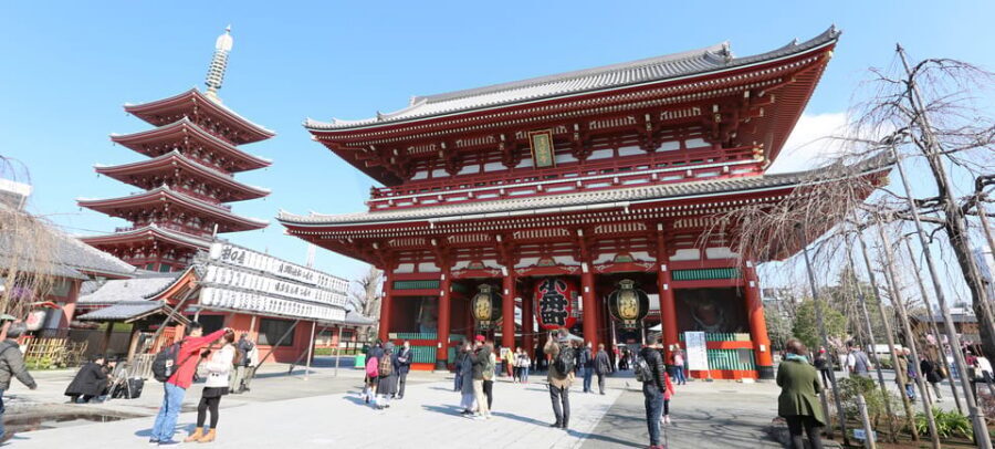 Tokyo: Private City Highlights Tour with Local Guide - Meiji Jingu Shrine Forest: A Hard Reset Between Shibuya and Shinjuku
