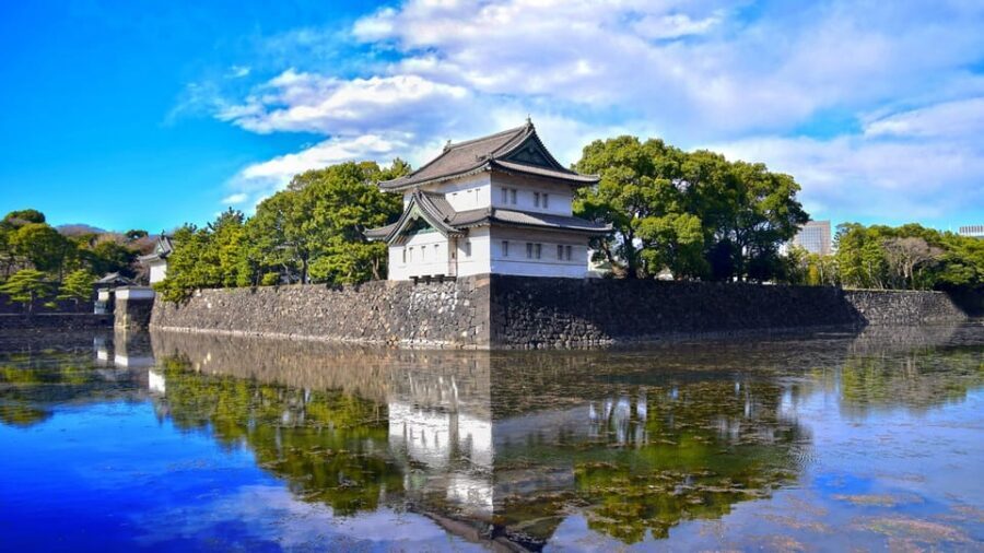 Tokyo: Private City Highlights Tour with Local Guide - Shinjuku Gyoen and Nezu: Garden Time and a More Offbeat Feel