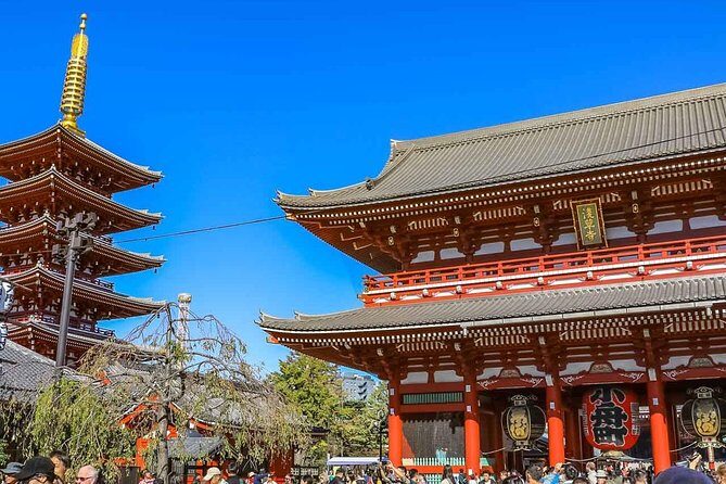 Tokyo Private Day Trip - Enjoy Your First-Time Visit to Tokyo! - Tsukiji Fish Market: market history, real shopping energy, plan for lunch