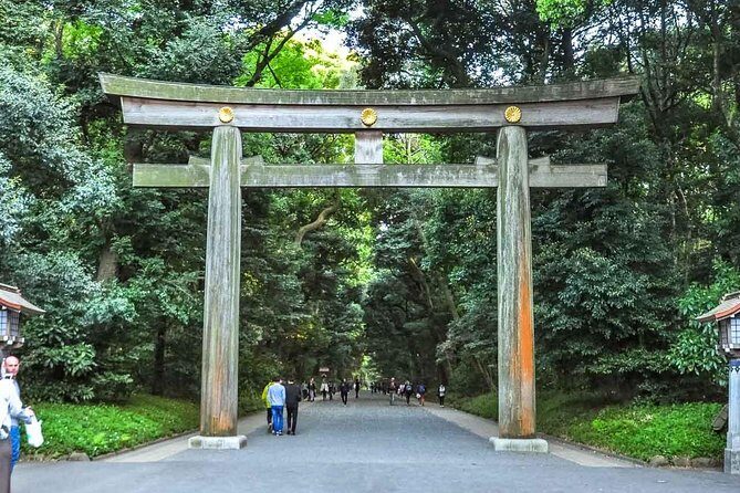 Tokyo Private Day Trip - Enjoy Your First-Time Visit to Tokyo! - Price and value: what you’re paying for at $99.49
