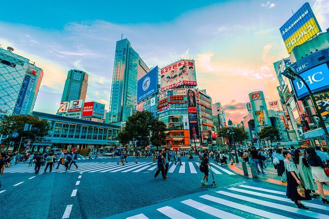 Tokyo Private Full-Day Tour by Car or Van - Meiji Jingu (and optional Yoyogi / Takeshita): a culture switch