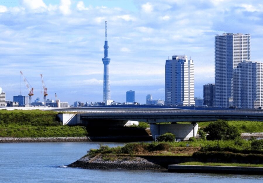 Tokyo: Private Guided Tour with Hotel Pickup and Drop-off - Imperial Palace: peaceful gardens and a flexible guide approach
