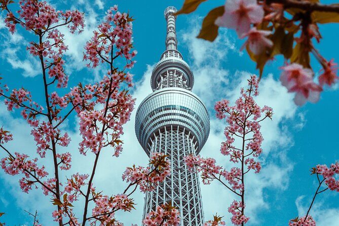 Tokyo Private Sightseeing Tour by Car- English speaking chauffeur - Drivers make or break the experience (names you’ll want to ask about)