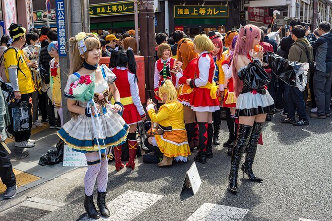 Tokyo Private Sightseeing Tour by Car- English speaking chauffeur - Comfort and crowd strategy you can feel in real life