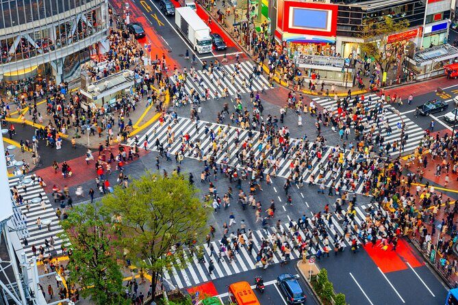 Tokyo Private Sightseeing Tour by Car- English speaking chauffeur - Price and value for a group up to 4
