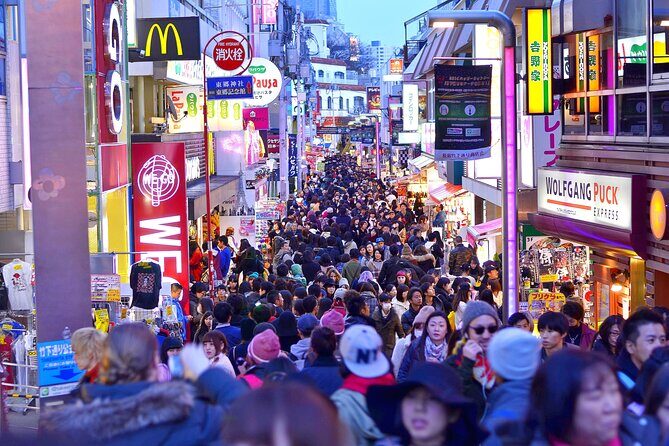 Tokyo Private Sightseeing Tour by Car- English speaking chauffeur - Who this tour suits best (and who should look elsewhere)