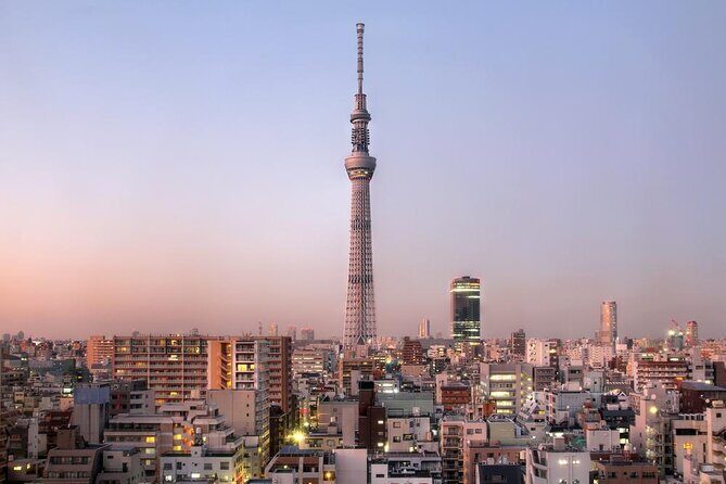 Tokyo Private Tour by Vehicle with English-Speaking Chauffeur - Key things I’d bet on before you book