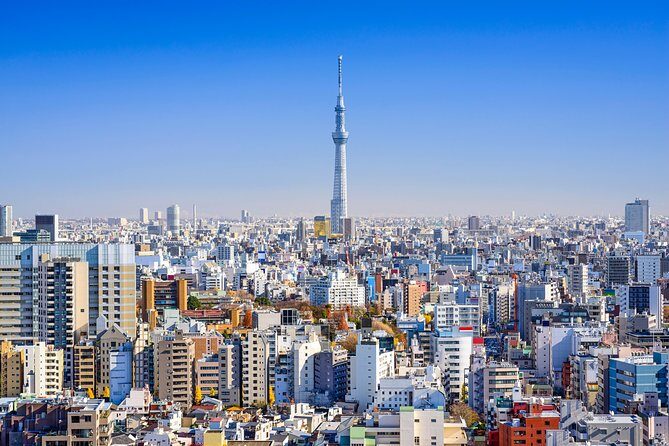 Tokyo Private Tour by Vehicle with English-Speaking Chauffeur - Tsukiji Outer Market: food, noise, and choices that feel local