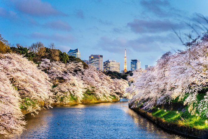 Tokyo Private Tour by Vehicle with English-Speaking Chauffeur - Pickup at ANA InterContinental Akasaka: how the day starts